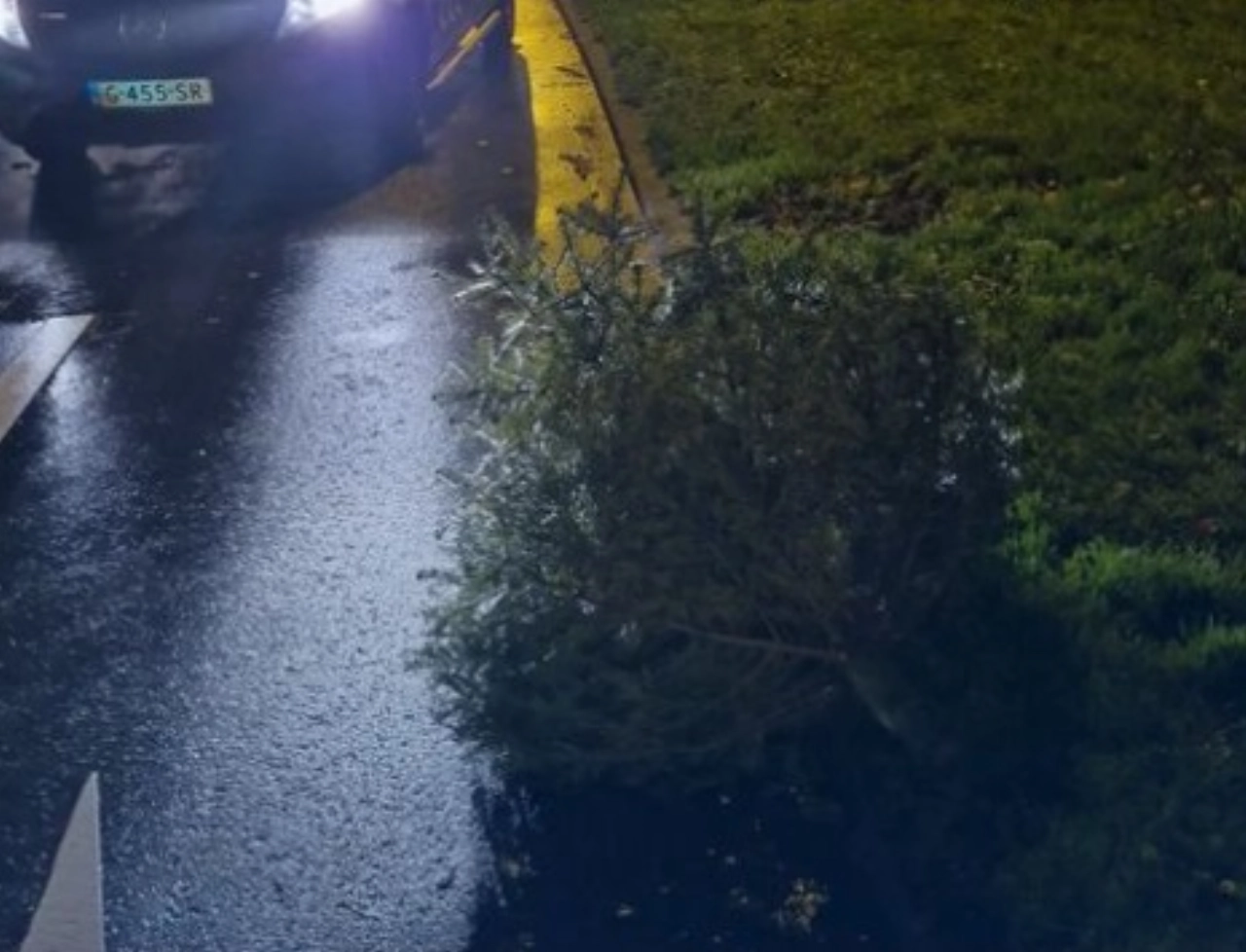 Rondvliegende kerstbomen door storm